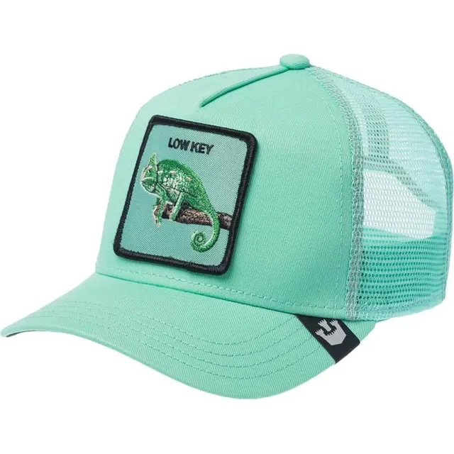 Boné Goorin Bros The Low Key Chameleon 101-1686 – Sage